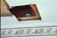 I had to remove some ceiling tiles downstairs in order to retrieve them. I had to remove some ceiling tiles downstairs in order to retrieve them.