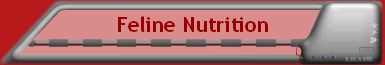 Feline Nutrition